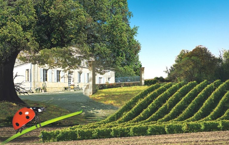 DOMAINE ELISABETH