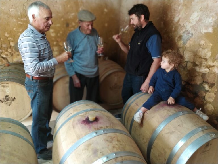 Domaine Le Petit Marand