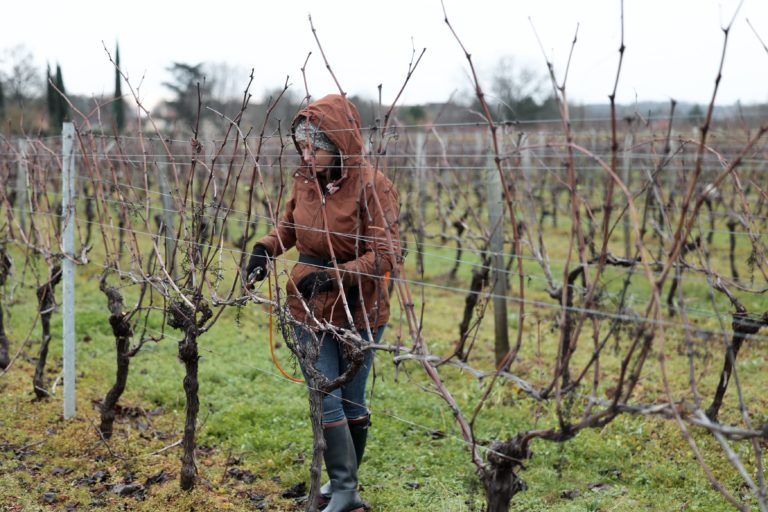 Domaine Terracotta