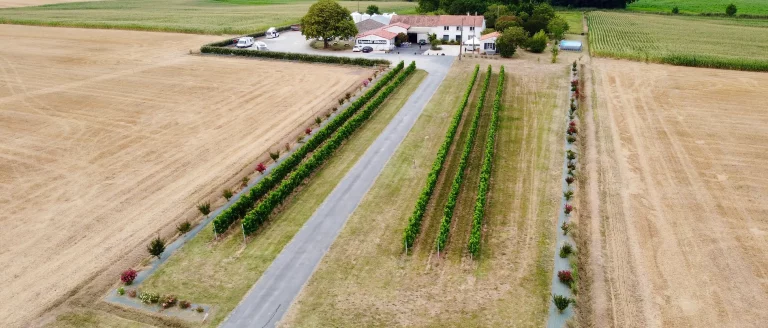 Domaine Biteau