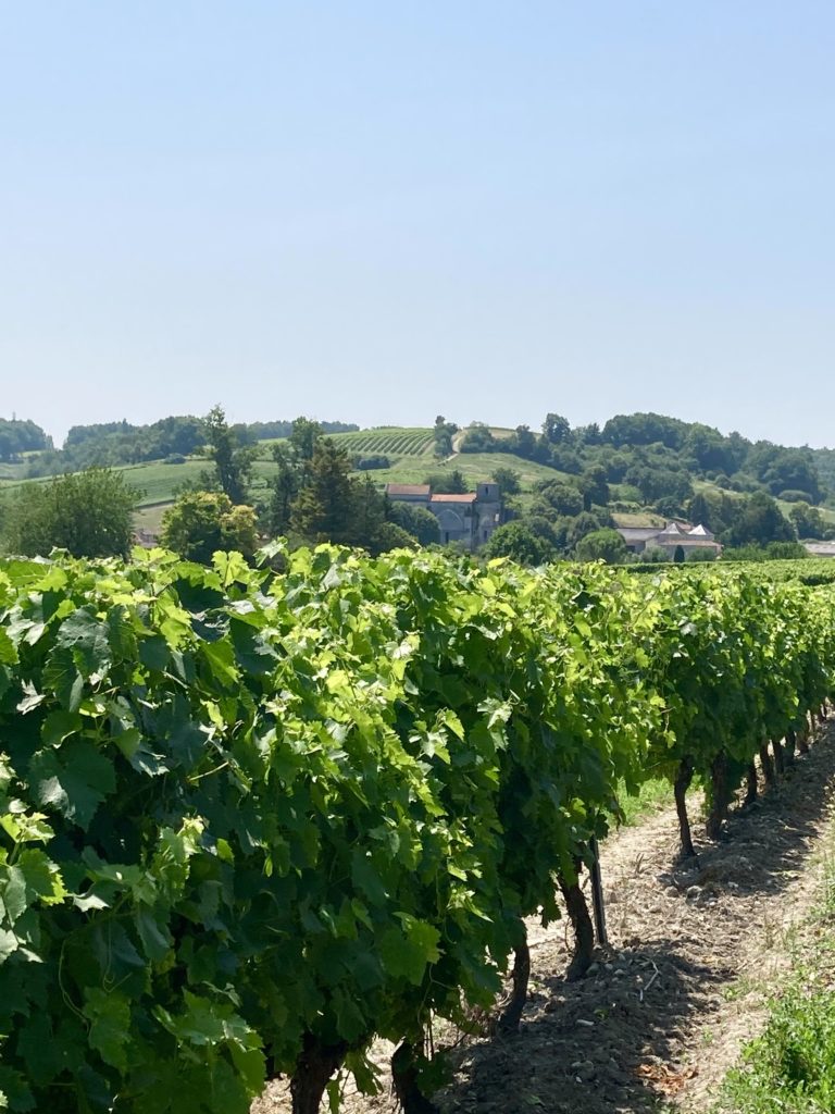 Domaine Raby