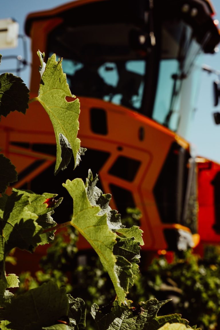 Grands Vins de Charente